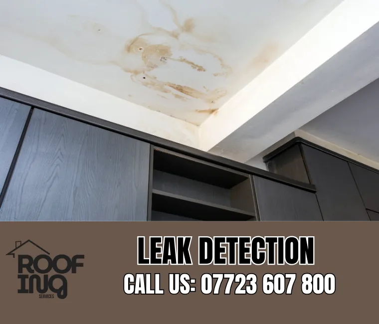 Roof Leak Detection in Exeter