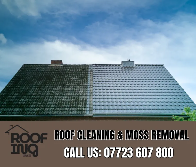 Roof cleaning and moss removal in Exeter